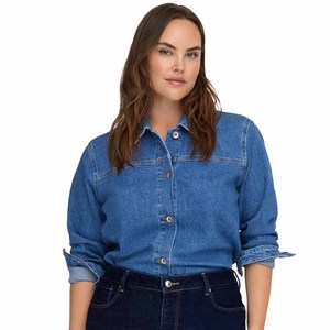 Chemise en jean pour femme, manches longues, boutonnée, bleu, design personnalisé, OEM ODM, fournisseur de vêtements en gros - Product Image 2