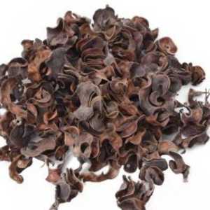 Décorations Florales Séchées Biologiques Élégantes de Haute Qualité - Effet Naturel pour Événements Intérieurs/Extérieurs & Décoration DIY Vente en Gros 2025 - Product Image 1