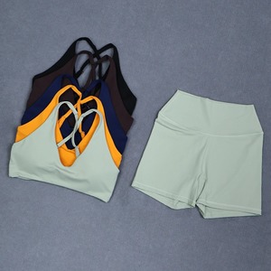 Conjunto de Yoga Premium para Mujer, Leggings Deportivos de Cintura Alta sin Costuras y Sujetador Deportivo, Ropa de Gimnasio y Fitness - Product Image 1