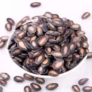 พันธุ์เมล็ดพันธุ์ไฮบริดขายส่ง |   เมล็ดพันธุ์พืชผลผลิตสูงสำหรับการเกษตร |   ผู้จัดจำหน่ายสินค้าจำนวนมาก - Product Image 3