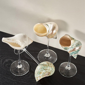 Vaso de concha marina estilo vintage, vasos de concha natural para cócteles y martinis - Product Image 1