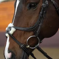 Bridon de dressage élégant et haut de gamme avec rembourrage en cuir tanné, accents en cristal et rênes en toile – Durable et attrayant – Prix de gros