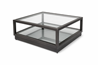 Table basse moderne en verre avec cadre en métal noir carré, double couche, facile à nettoyer, pour salon, meubles de maison
