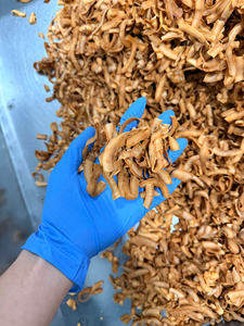 Rodajas de Coco Crujientes, Pulpa de Coco Madura Natural para Snack o Ingrediente, Vietnam - Product Image 2