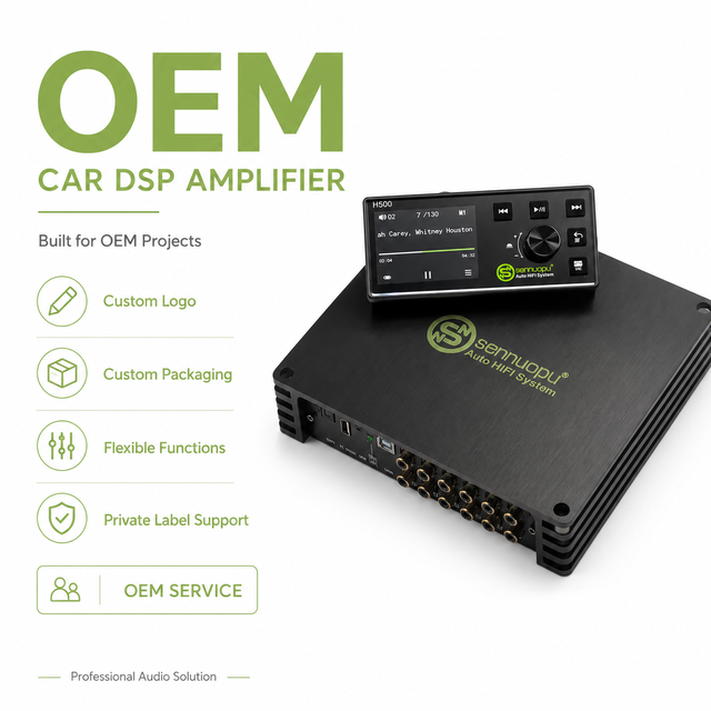 OEM DSP Integrated Class AB Car Amplifier with >100dB SNR and 12 Months Warranty DS-M10Pro