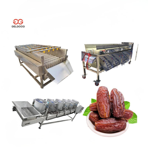 Food & Beverage Factory Use Fruit Production Line Polish Sorting & Dry Dates Cleaning Machine Dates Commercial Multi Functional - Product Image 1