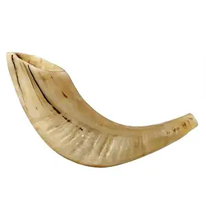 Shofar Auténtico de Cuerno de Carnero Ecológico, Hecho a Mano y Pulido, Instrumento Judaico para Oración y Ceremonias Religiosas - Product Image 2