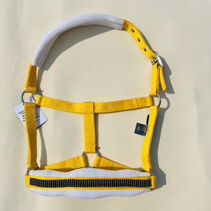 Nylon Cheval Halter À La Mode Nouveau Design Confortable Réglable Multicolore Personnalisable Fabriqué en Inde - Product Image 1