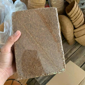 บล็อกใยมะพร้าวธรรมชาติเวียดนาม - วัสดุปลูกออร์แกนิกธรรมชาติ 100% สำหรับการเจริญเติบโตของเมล็ดพันธุ์และการปลูกพืช  เป็นมิตรต่อสิ่งแวดล้อมสำหรับการเกษตรและพืชสวน - Product Image 6