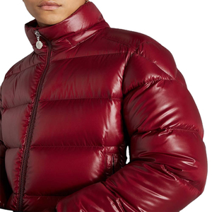 Veste d'hiver rembourrée brillante à capuche pour homme, col montant, fermeture éclair, épaisse, couleur bordeaux - Product Image 4