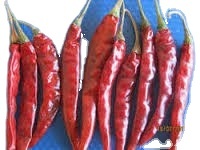 Piment rouge Teja de qualité supérieure, naturel et non transformé, qualité d'exportation