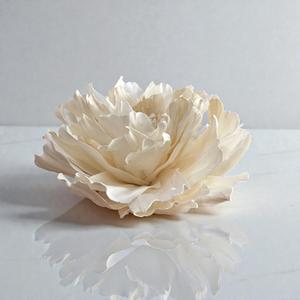 Grande fleur de pivoine faite à la main en bois de Sola, tige en fibre végétale d'Espagne de 15 cm - Product Image 4