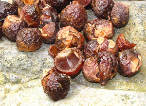 Bulk Natural Dried Soap Nuts Soapberry for Laundry <b>Detergent</b> Household Cleaning Export Quality Vietnam Supplier - Product Image 1