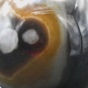 Esfera de Cristal de Cuarzo Natural de 50mm para Decoración del Hogar, Venta al Por Mayor 2026 - Product Image 6