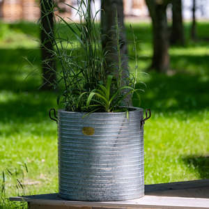 Galvanized Metal <b>Plant</b> Pot Outdoor Garden Planter Rustic Style Decorative Container for Herbs and <b>Plants</b> - Product Image 2