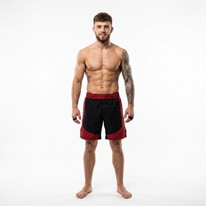 Pantalones Cortos de MMA Transpirables de Secado Rápido, Precio Ajustable, Calidad Premium, Gran Venta, Ligeros, Totalmente Personalizables al 100% - Product Image 3