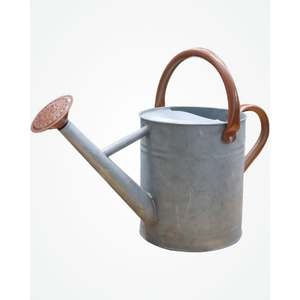 Arrosoir en métal blanc de haute qualité, en fer galvanisé, avec bec amovible, 1 gallon, style campagnard français - Product Image 4