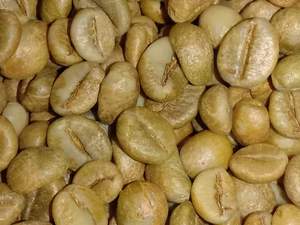 Granos de Café Verde Arábica 100% Natural, Calidad de Exportación, Criba 16/18 para Tostado Industrial - Product Image 5