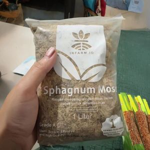 Mousse de sphagnum séchée de haute qualité 1L, substrat organique stérilisé à absorption rapide pour plantes - Product Image 5