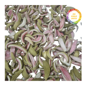 Guayaba Seca Superior, Suave y Masticable, Empaque a Granel, Estándar de Exportación, Sabor Dulce, Para Distribución Global - Product Image 5