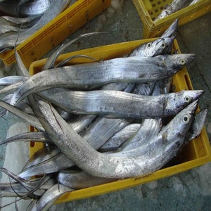 Poisson ruban congelé naturel, offrant une bonne texture et un stockage pratique pour la demande quotidienne de fruits de mer – Approvisionnement en poisson ruban pour le marché - Product Image 3