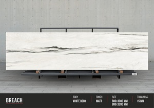 Azulejos digitales mate de cuerpo blanco Borghini La mejor marca India 800X3200MM Tamaño LOSA GRANDE PORCELANA ESMALTADO 80x320cm ÚLTIMO LANZADO - Product Image 3