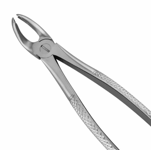 ARISTON INTERNATIONAL Pinzas de Extracción Dental de Alta Calidad con Patrón Inglés, de Acero Inoxidable, Tipo Alicate Manual, Uso Profesional - Product Image 4