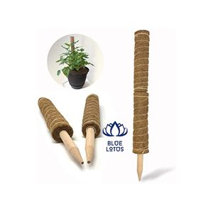 Poteau en fibre de coco naturelle, très demandé |   Tuteur en fibre de coco biologique pure pour plantes d'intérieur - Product Image 1