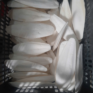 Hueso de Sepia Premium de 4-6 Pulgadas, Empaque en Blíster, 100% Natural, Fuente de Calcio para el Cuidado de Picos de Aves, 21 - Product Image 3