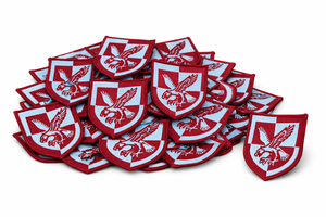 Patch tactique brodé style assaut aérien 16e TRF désert, avec fixation auto-agrippante - Product Image 6