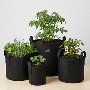 Organic Cocopeat and Coconut Husk Chips Growing Media Grow Bag for Hydroponic s, Seedlings, Nursery and Farming Tamil Nadu India - Product Image 6