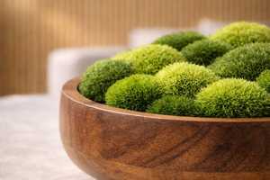 <b>Preserved</b> <b>Moss</b> Bowl Centerpiece Wooden Bowl Decor Modern Spa Table Decor Minimalist Nature Gift - Product Image 5