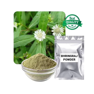 Suministro al por Mayor de Polvo de Hoja de Bhringraj, Polvo de Bhringraj Molido Finamente de Primera Calidad para Favorecer el Crecimiento del Cabello, su Grosor y un Cuero Cabelludo Saludable - Product Image 4