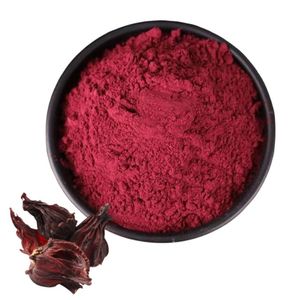 Poudre d'hibiscus de qualité supérieure OEM ODM pour la croissance des cheveux et l'éclat de la peau, 100% pure, poudre de fleurs d'hibiscus séchées, sans produits chimiques, poudre à base de plantes - Product Image 5
