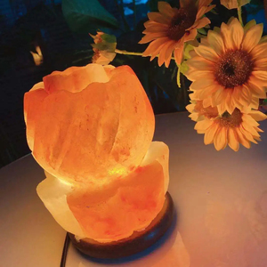 Lampes en sel rose de l'Himalaya naturelles faites sur mesure, sculptées à la main, sel de roche raffiné, qualité alimentaire, vente directe du fabricant - Product Image 5