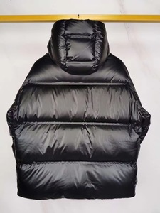 Chaqueta Acolchada con Capucha para Hombre, Negra, con Cierre de Cremallera, Rellena de Plumón, Resistente al Viento, Informal, de Invierno, Color Sólido, Gruesa, de Poliéster - Product Image 2