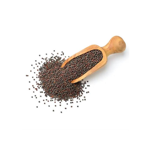 Semillas de Mostaza 100% Puras, Especias Secas Naturales de Primera Calidad para la Industria Alimentaria, Suministro al por Mayor - Product Image 1