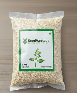 Graines de sésame blanches de qualité supérieure, naturelles, propres, en vrac, pour la cuisine, la pâtisserie, les collations et l'exportation en gros depuis l'Inde - Product Image 2