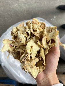 ขิงหั่นยาว / ขิงแห้งแบบเซนเซโร่ อบแห้งด้วยแสงแดดจากเวียดนาม สำหรับผู้ค้าเครื่องเทศ (WA +84 914319488) - Product Image 3