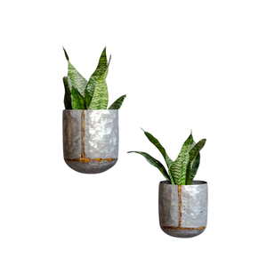 Maceta redonda galvanizada para colgar en la pared, para suculentas artificiales, decoración rústica para interiores y exteriores, maceta de pared para flores en oferta. - Product Image 6