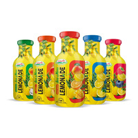 Nuevo Producto: Bebida de Limonada de Musgo Marino, Botella de Vidrio de 355 ml, Fabricante, Venta al por Mayor, Mejor Precio, Vietnam, OEM, ODM, Muestra Gratuita