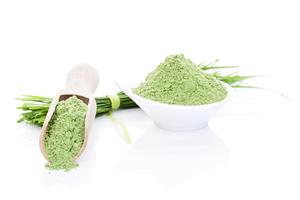 Poudre d'herbe de blé premium, superaliment vert naturel pour le bien-être et la nutrition quotidiens - Product Image 3
