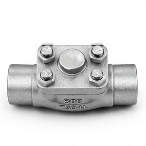 Vanne de retenue horizontale en acier forgé à chaud, haute température, manuelle, avec joint PTFE, 2 pouces, F304L, classe 800, filetage NPT - Product Image 1