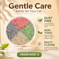 Litière pour chat au tofu en marque blanche, conception de sac personnalisée, fournisseur OEM en gros pour les marques de produits pour animaux de compagnie, importateurs et détaillants