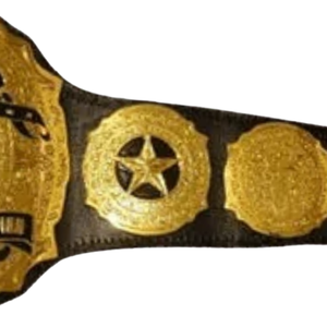 เข็มขัดแชมป์มวยปล้ำรุ่นเฮฟวี่เวท Lone Star คุณภาพสูง ถ้วยรางวัลมวยปล้ำเท็กซัส ปรับแต่งได้สำหรับนักสะสม - Product Image 5