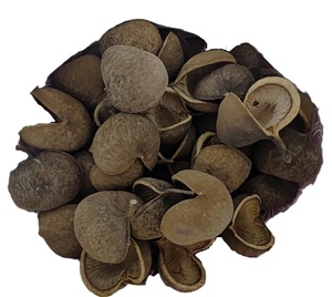 Décoration d'aquarium intérieure la plus vendue : Matériel végétal naturel brut, noix de Bouddha, fleurs séchées pour la décoration et les loisirs créatifs DIY - Product Image 4