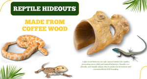 Cueva de reptiles de madera de café natural Eco Hideout para lagartos, serpientes y reptiles pequeños - Product Image 5