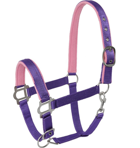 Harnais pour cheval en nylon violet avec rembourrage rose et boucles métalliques pour l'équitation et l'entraînement - Product Image 1