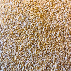 Meilleure Qualité Biologique Riche en Protéines Moong Moth Mogar Dal Séché Facile à Cuisiner Nouvelle Récolte Approvisionnement en Vrac 30kg - Product Image 4