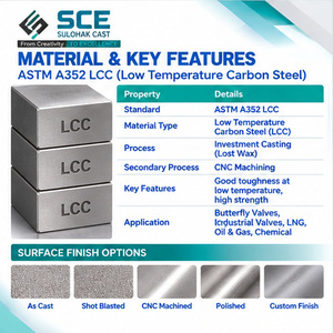 Disco de Válvula ASTM A352 LCC, Fundición a la Cera Perdida y Mecanizado CNC, Superficie Personalizada OEM/ODM - Product Image 2